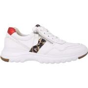 Lage Sneakers Gabor 46.318.51
