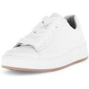 Lage Sneakers Gabor 86.470.50