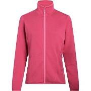 Fleece Jack Mckinley Roto III