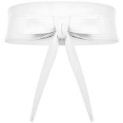 Riem Rinascimento ACV0012892003