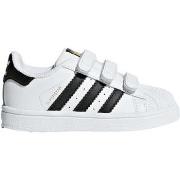 Lage Sneakers adidas BZ0418