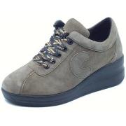 Lage Sneakers Cinzia Soft IV224000