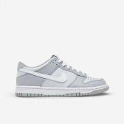 Lage Sneakers Nike Dunk Low Two-Toned Grey (GS)