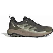 Lage Sneakers adidas Terrex Anylander R.Rdy
