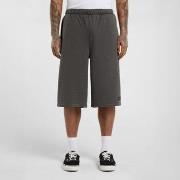 Korte Broek Dickies Streetsboro 13 inch sweat