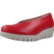 Ballerina's Wonders C33100