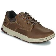 Lage Sneakers Caterpillar COLFAX / CASUAL