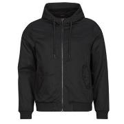 Windjack Teddy Smith B-SANSON