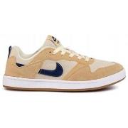 Lage Sneakers Nike SB Alleyoop