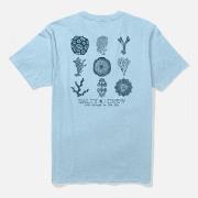 T-shirt Korte Mouw Salty Crew  head ss tee