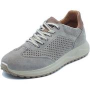 Lage Sneakers IgI&amp;CO 1118322 Scam.