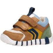Lage Sneakers Geox 277567