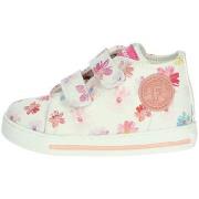 Lage Sneakers Falcotto 0012014604.94.0N01