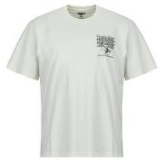 T-shirt Korte Mouw Dickies LYNNDYL SS TEE EGRET