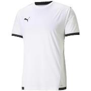 Zwembroek Puma Teamliga