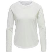 T-Shirt Lange Mouw hummel T-shirt manches longues Vanja