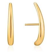 Oorbellen Ania Haie e02405g