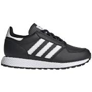 Lage Sneakers adidas Forest Grove J