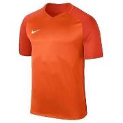 T-shirt Korte Mouw Nike T-shirt Trophy III col en V