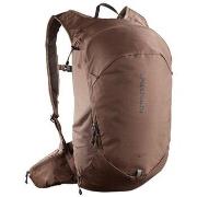 Rugzak Salomon Trailblazer 20