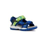 Lage Sneakers Geox J BOREALIS BOY