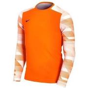 T-shirt Korte Mouw Nike JR Dry Park IV