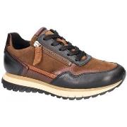 Lage Sneakers Gabor 76.378.41
