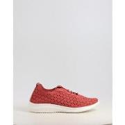 Lage Sneakers Eoligeros LIBERTE