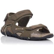 Sandalen Chiruca BASKETS TARIFA 02