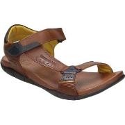 Sandalen Kangaroos 115852