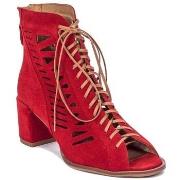 Enkellaarzen Maciejka 4040S08005