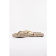 Teenslippers Ilse Jacobsen Chanclas Mujer Modèle Cheerful03g Chancla