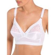 Triangles / Sans armatures Daxon by - Soutien-gorge grand maintien