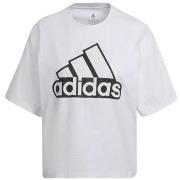 T-shirt adidas TEE SHIRT W BLUV Q1 CRO - WHITE WHITE - L