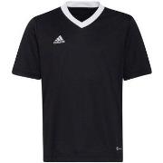 T-shirt enfant adidas Entrada 22 Jsy