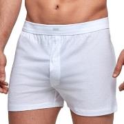 Boxers Impetus Essentials