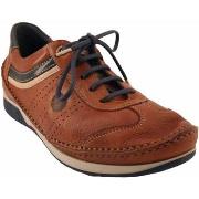 Derbies Fluchos 9122