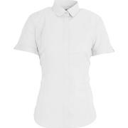 Chemise Brook Taverner BK133