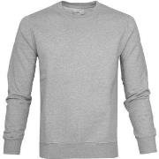 Sweat-shirt Colorful Standard Pull Gris Chiné