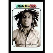 Miroirs Bazooka Miroir rectangulaire sérigraphié Bob Marley