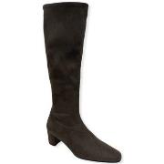 Bottes Ligne O Botte Talon Stretch Taupe