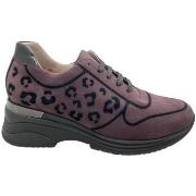 Chaussures Calzaturificio Loren LOA1144mal