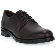 Chaussures Stonefly CARNABY 10 CALF
