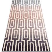 Tapis Rugsx Tapis KAKE 25809657 Labyrinthe moderne violet / 80x150 cm