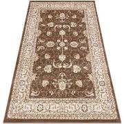 Tapis Rugsx Tapis MEFE moderne 2312 Ornement, cadre 120x170 cm