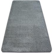 Tapis Rugsx Tapis SHAGGY MICRO anthracite 80x150 cm