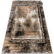 Tapis Rugsx Tapis DE LUXE moderne 634 Cadre vintage 120x170 cm