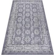 Tapis Rugsx Tapis SIZAL SION Cadre, ornement, vintage 2832 140x190 cm