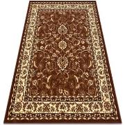 Tapis Rugsx BCF Tapis Morad KLASYK classique - marron 120x170 cm