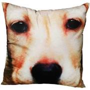 Coussins Out Of The Blue Coussin Carré Chien Déhoussable